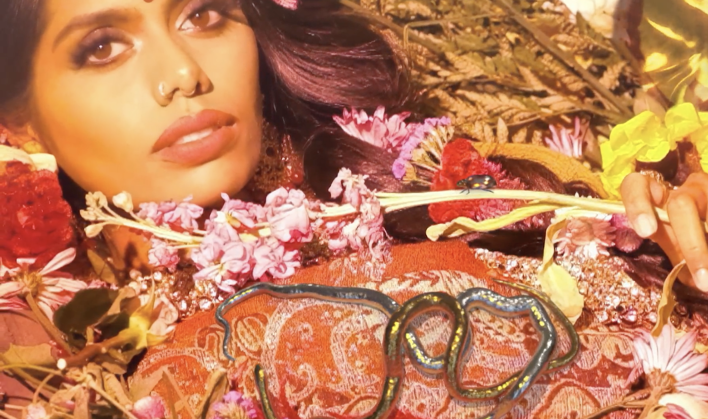 Tamil-Canadian Artist Shan Vincent de Paul’s NFT Collection Has a Twist