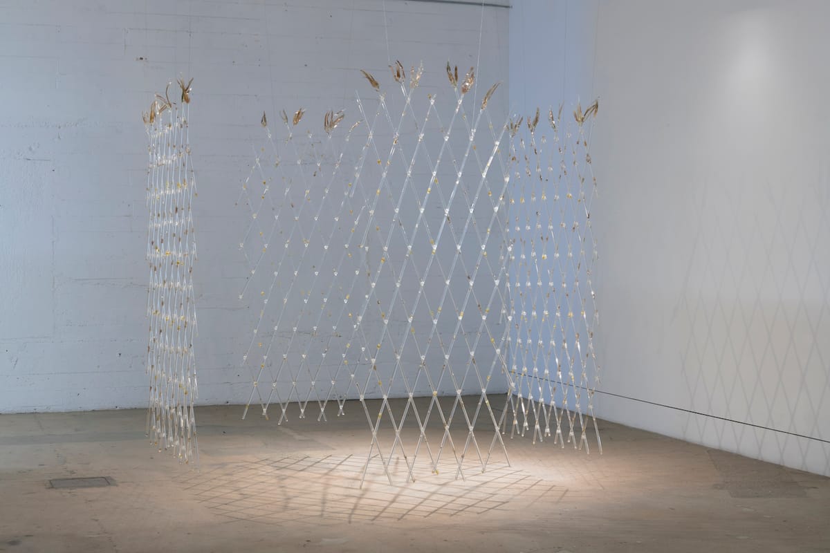 Our Wandering, Rootless Nature, Given Shape by a Jewish Tradition