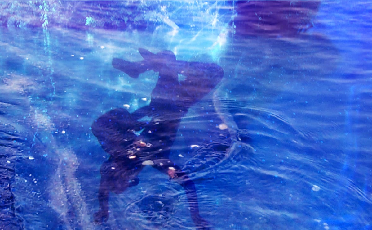 BRIC Presents Suné Woods: Aragonite Stars, a Five-channel Video Installation