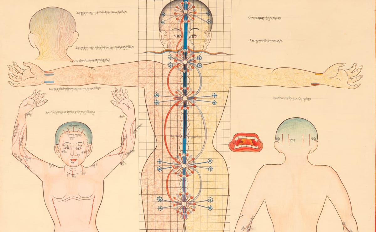 The Rubin Museum Presents Healing Practices: Stories from Himalayan Americans