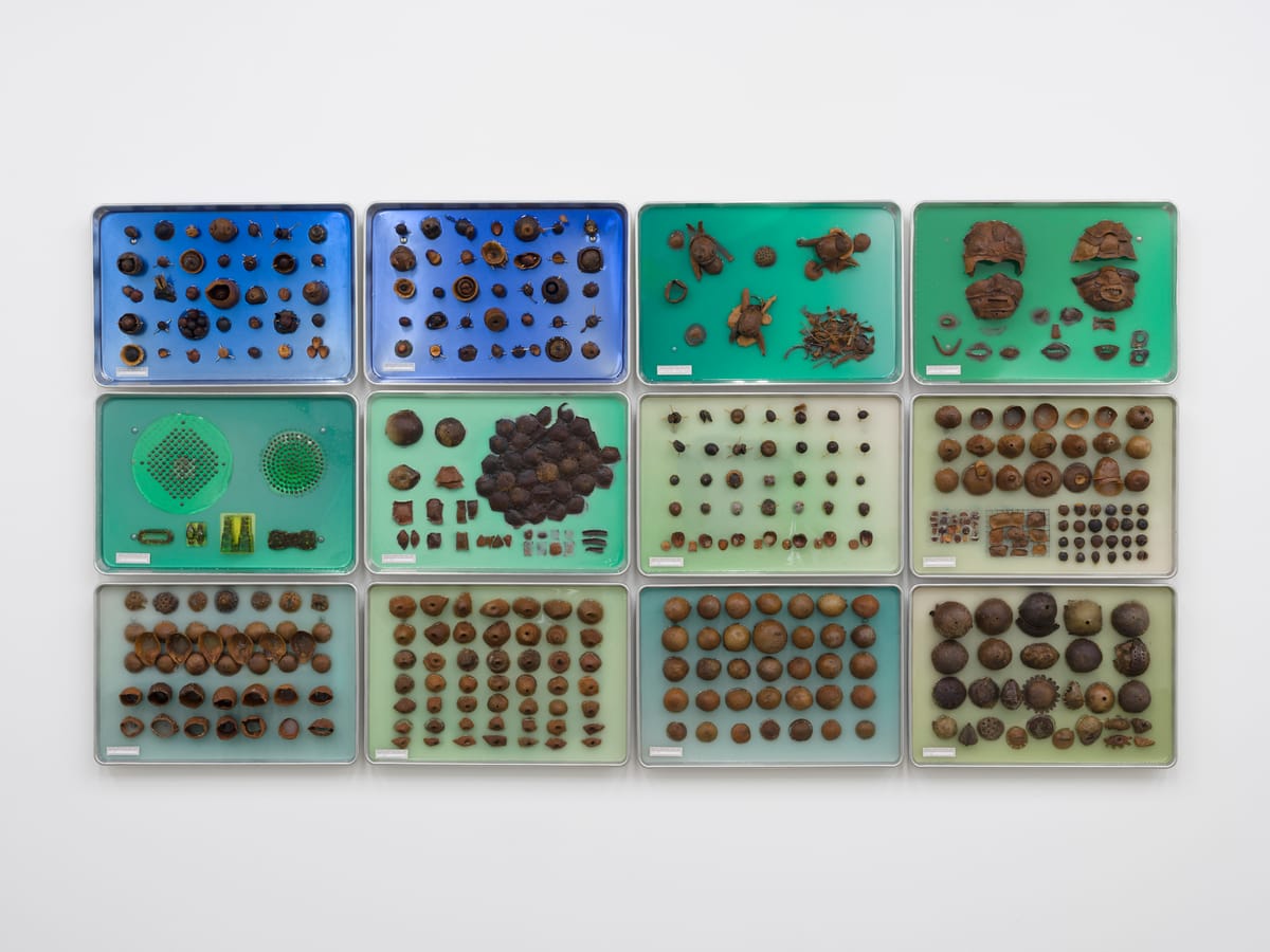 The Experimental Laboratory of Artist-Inventor Carl Cheng