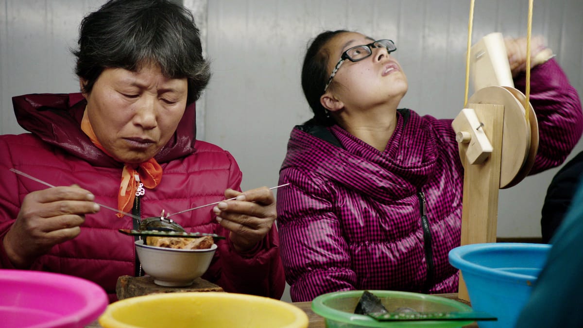 Mika Rottenberg Mines the Banality and Allure of Spectacle