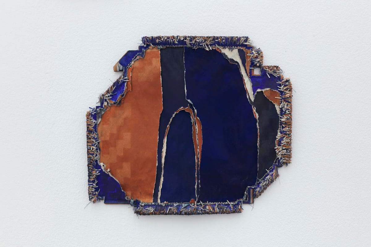 Tanoa Sasraku’s Enigmatic "Earth Photos"