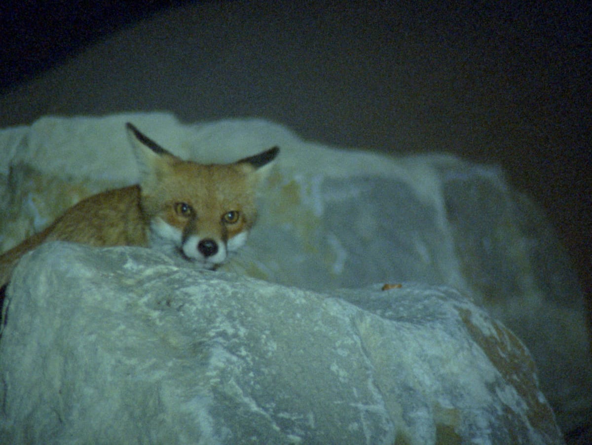 The Hidden Labor of Exhibitions