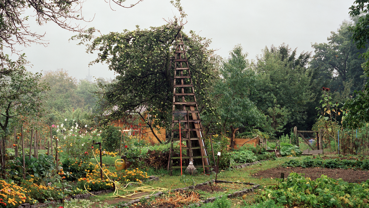 DAS MINSK Opens With Exhibitions on Wolfgang Mattheuer and Stan Douglas