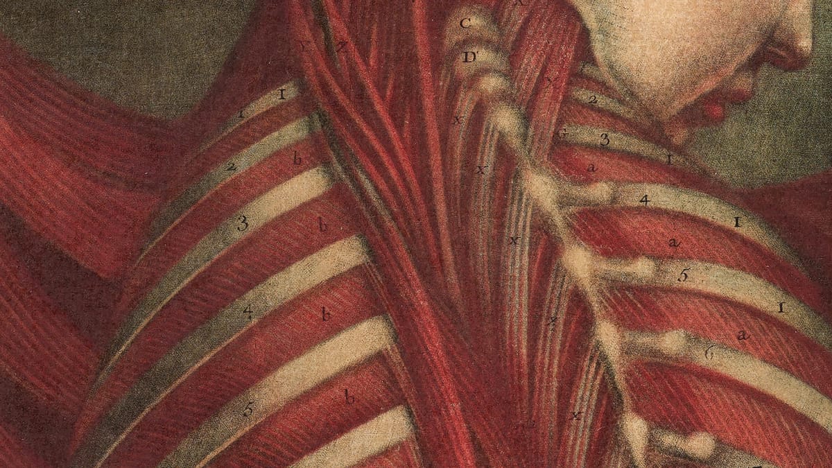 Harvard Art Museums Presents Dare to Know: Prints and Drawings in the Age of Enlightenment