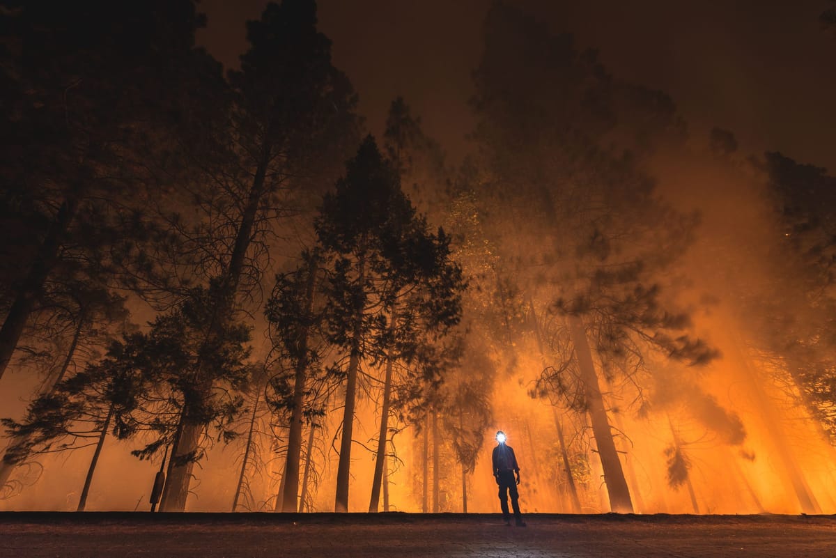 Processing the Trauma of Wildfires Through Art
