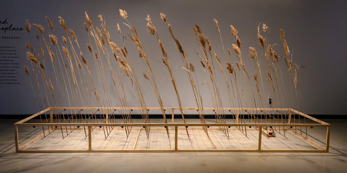 University of Michigan’s Stamps School of Art & Design Offers a Unique MFA Experience