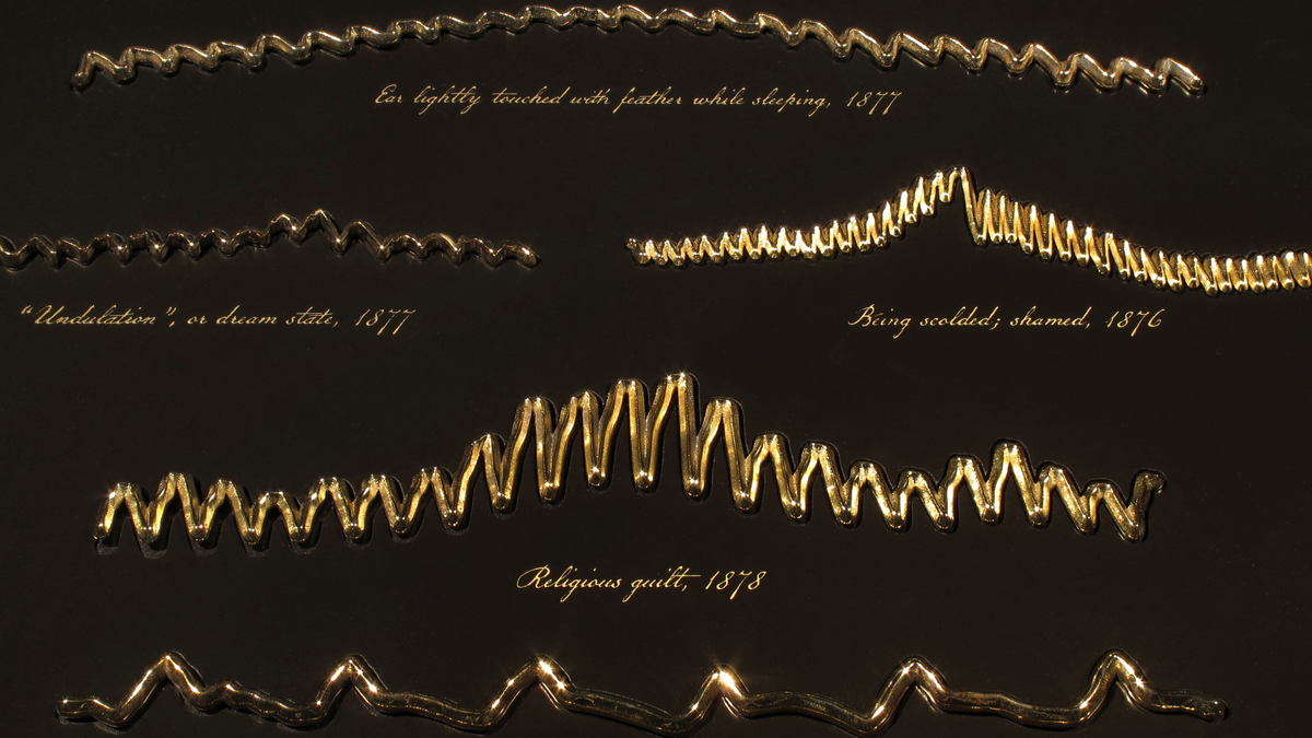 The Heart’s Knowledge: Science and Empathy in the Art of Dario Robleto