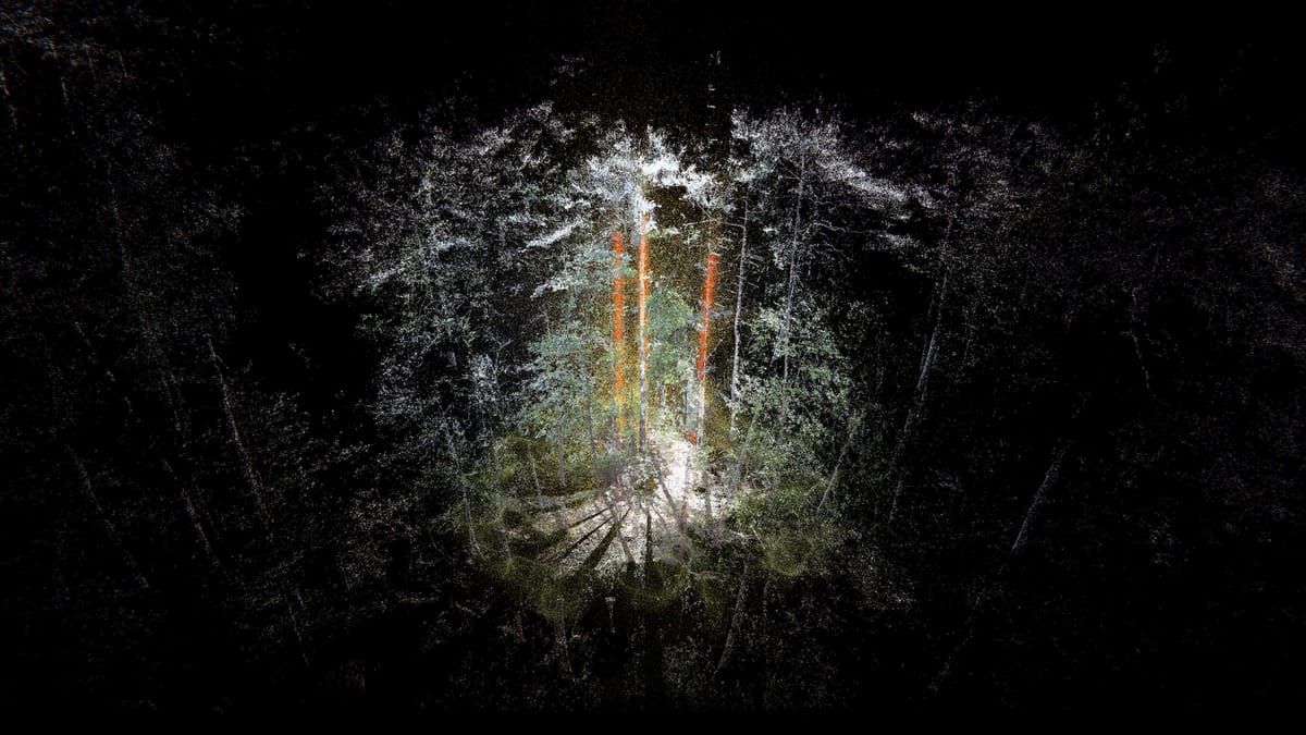 Onsite Gallery Presents more-than-human