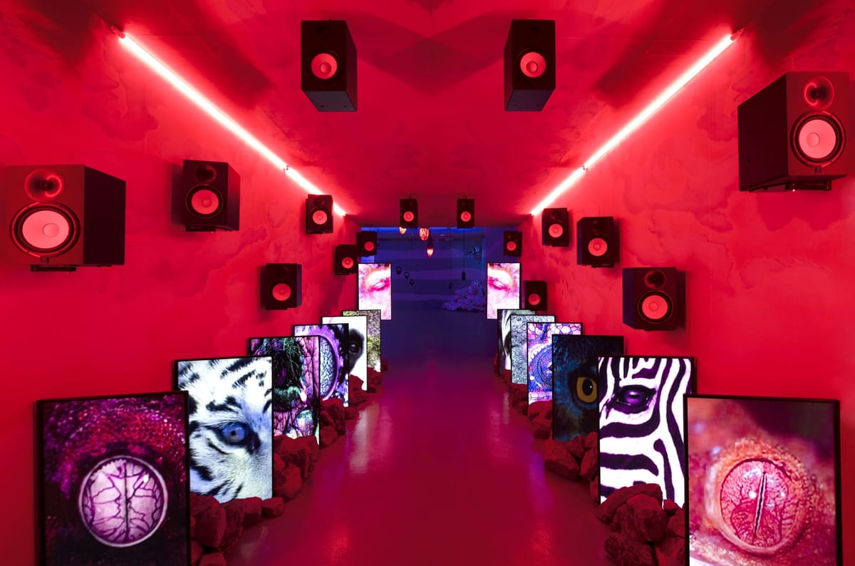 The Turner Prize Wrestles With an Identity Crisis