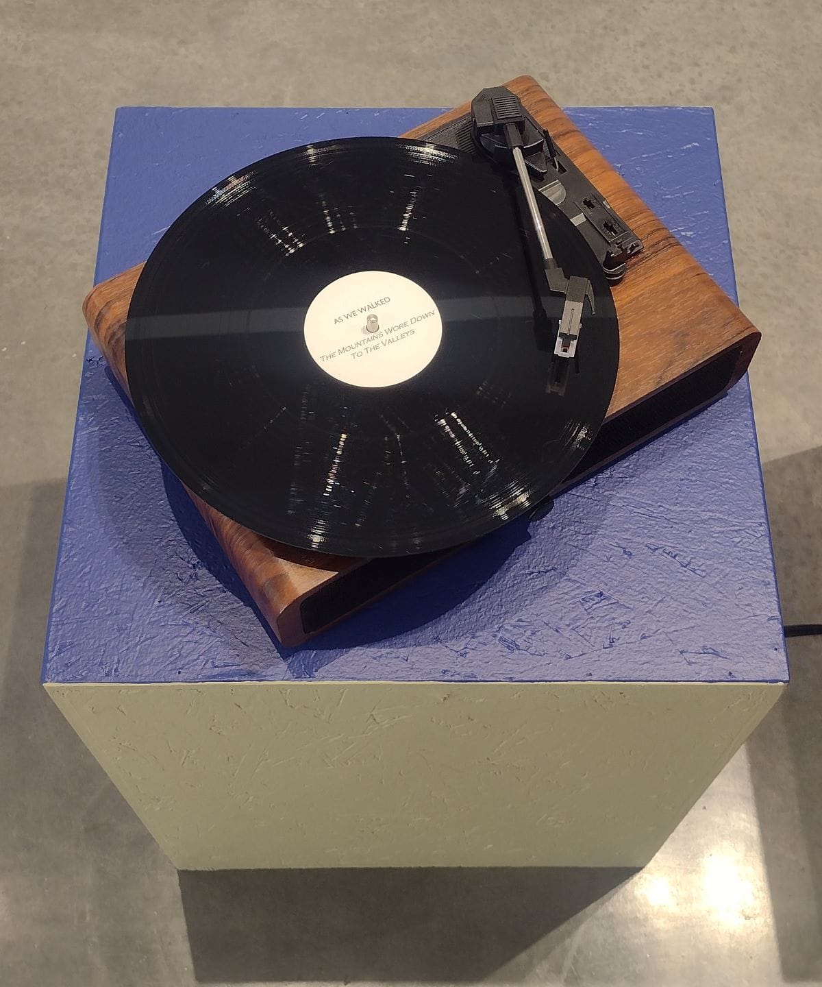 Tales of Endurance Etched on Vinyl