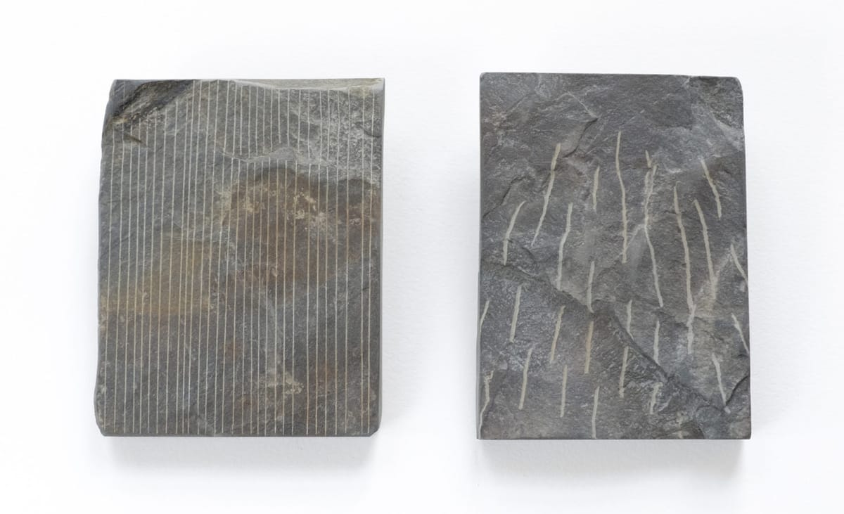 The University of Alabama Offers Full Funding Opportunities for MFA in Studio Art