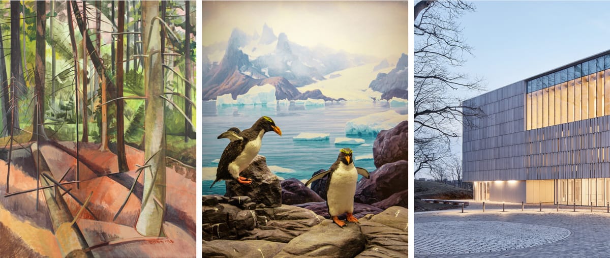 The Bruce Museum Announces Grand Reopening After $67M Expansion