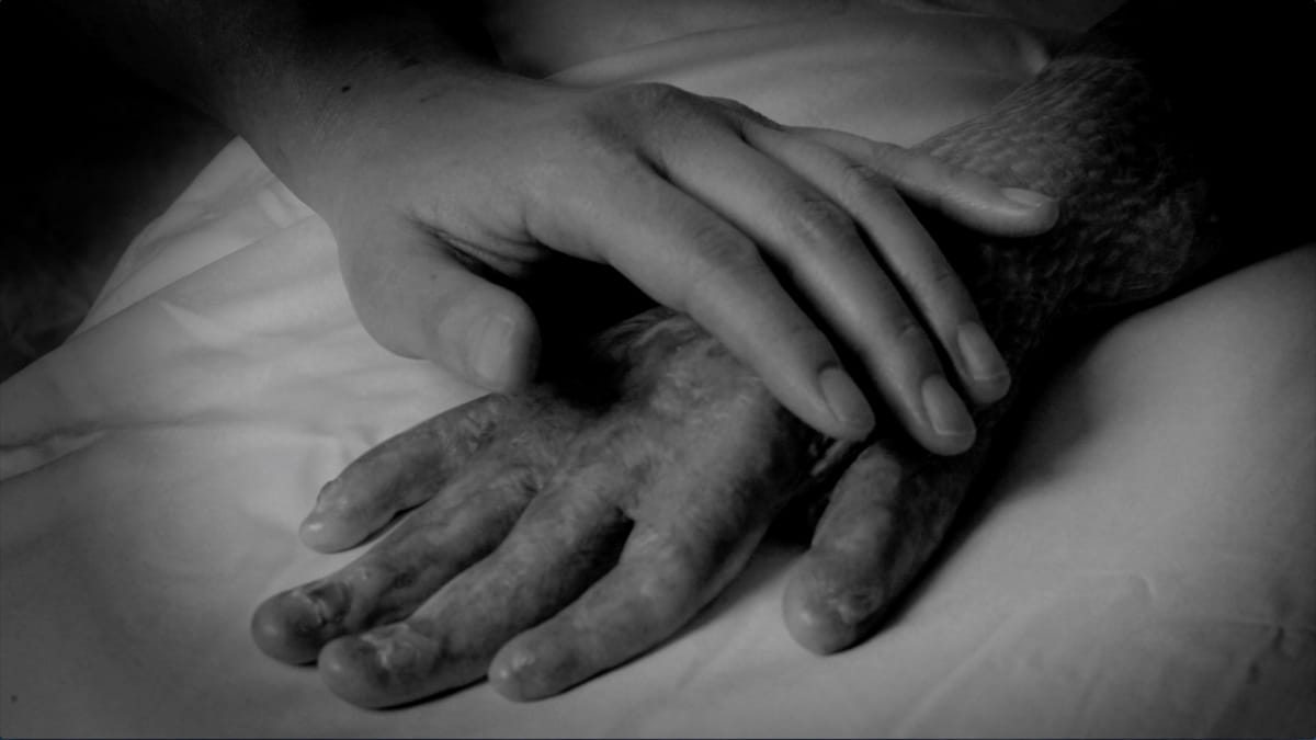 Stream Media Works by Artists in Asia, the Americas, and Oceania on Watch and Chill 3.0