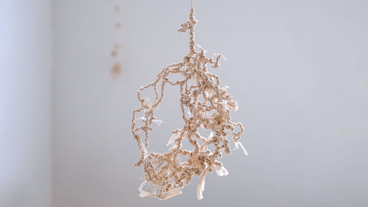 Parsons Fine Arts 2023 MFA Thesis Exhibition: Matter As Fallen Light