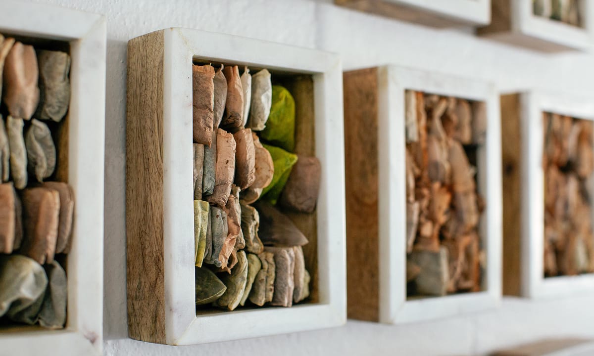 Enhance Your Practice With SVA Continuing Education Courses, Workshops, Residencies