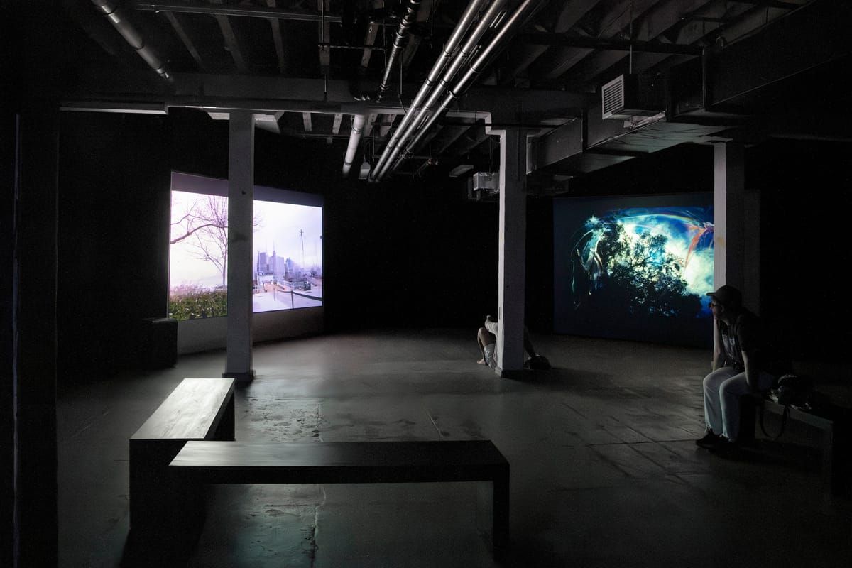 In Governors Island, Seven Video Artists Imagine Radical Futures