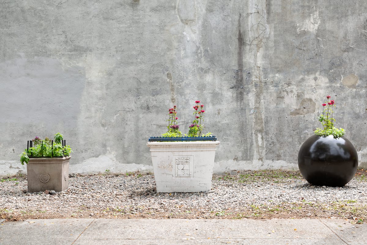 David L. Johnson's Critique of NYC Community Gardens