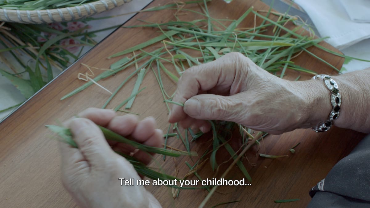 An Iranian-American Woman’s Quest to Reconnect With Her Heritage