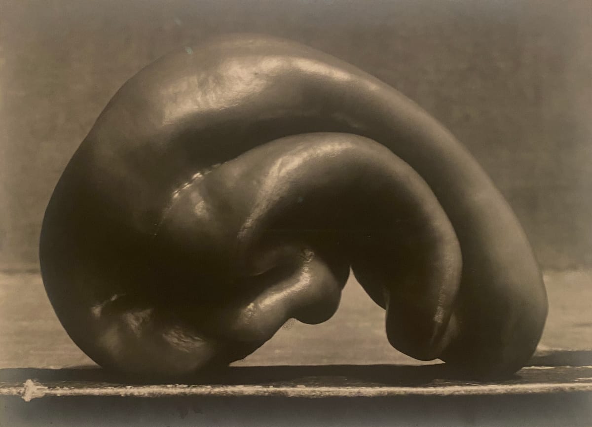 The Art, Politics, and Pleasures of Food