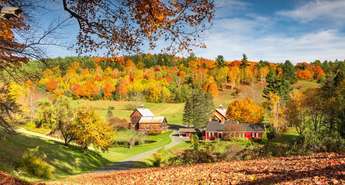 Foliage-Loving Influencers Turn Life in Vermont Town Into Hell