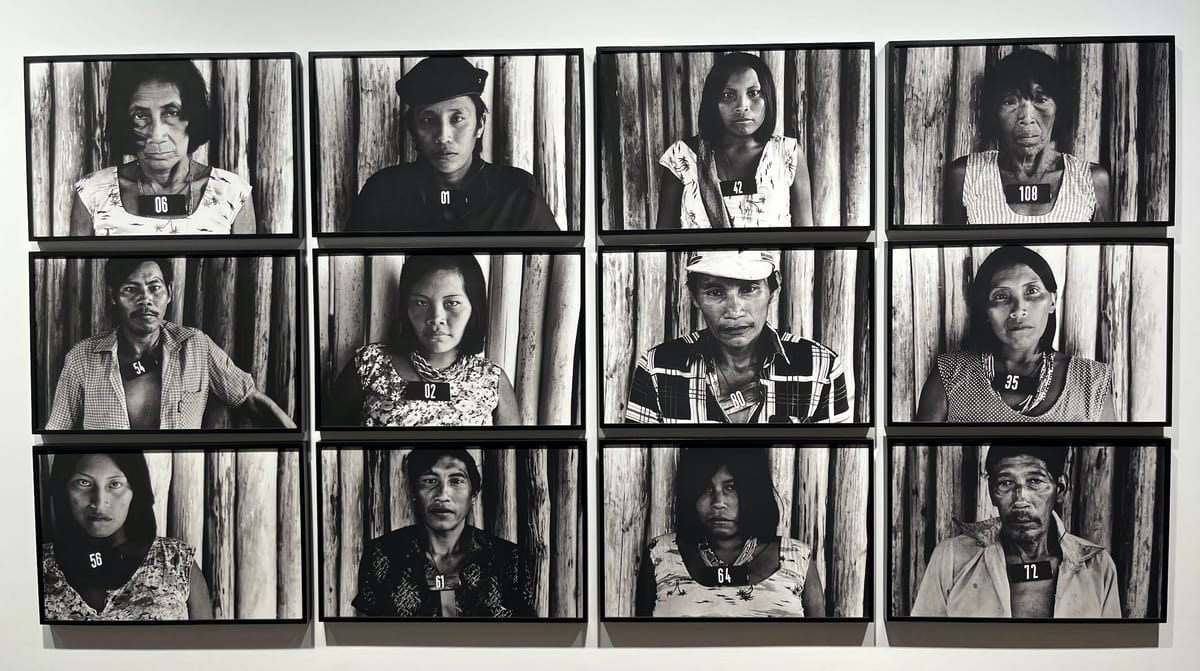 The Pleasures and Perils of the Amazon Rainforest