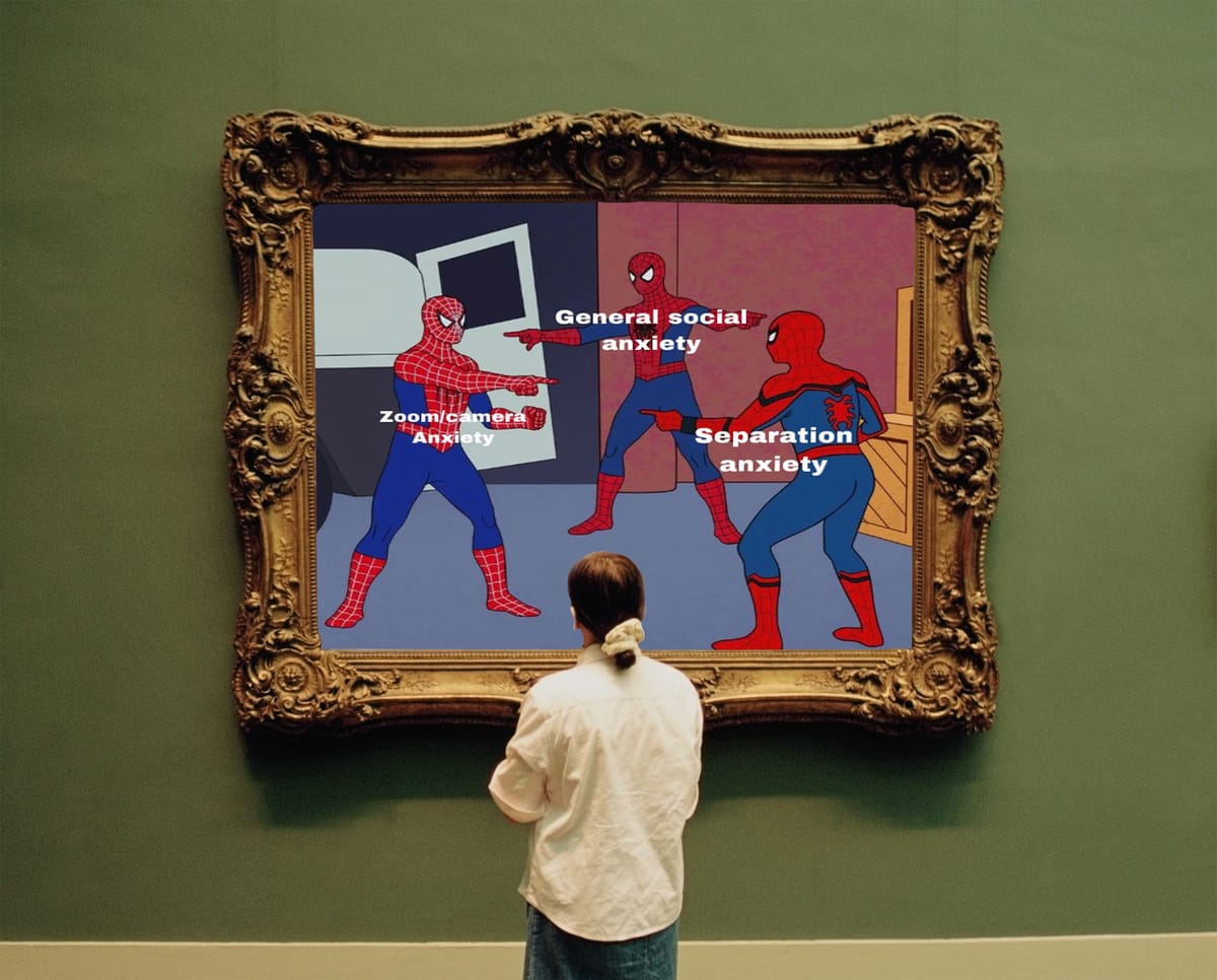 What If Memes Had Museum Wall Labels?