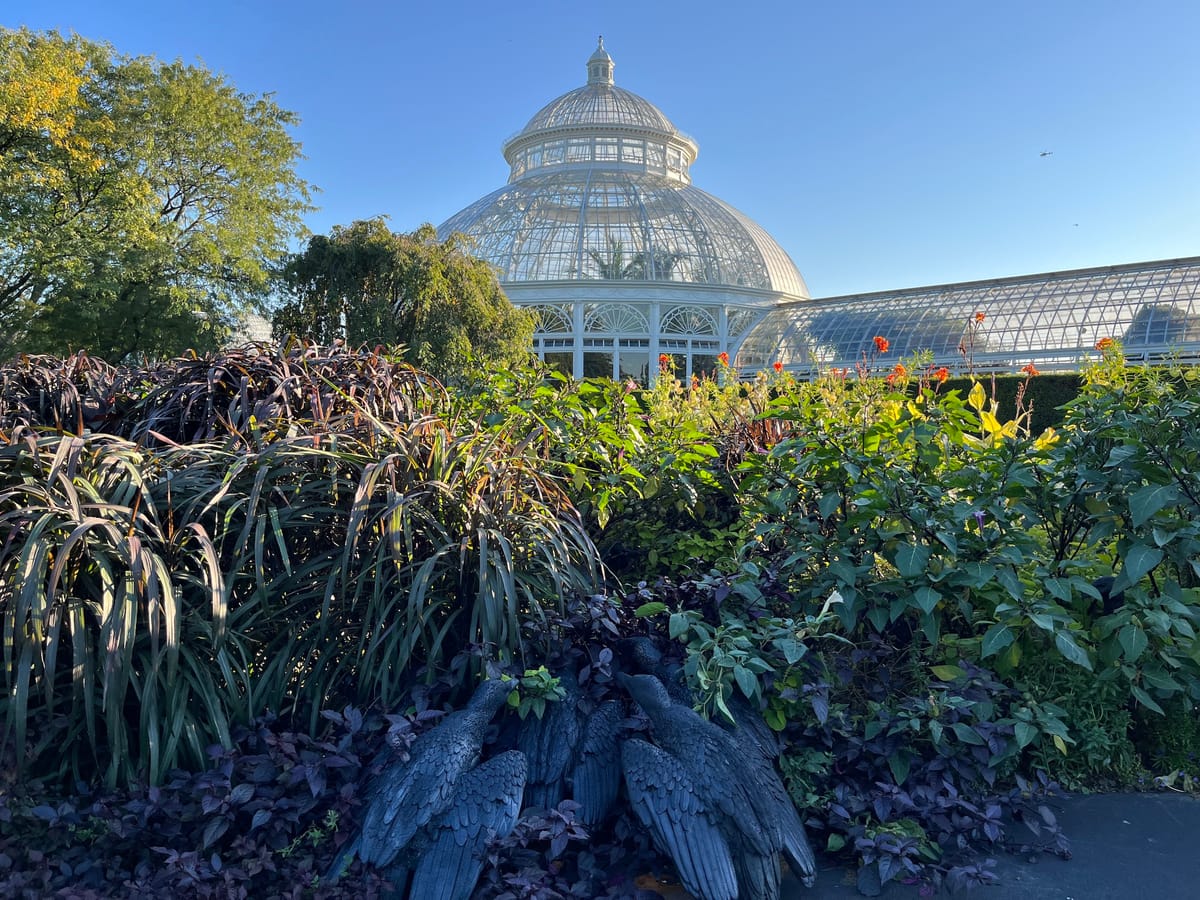 Ebony G. Patterson Invites Us to Reconsider the Botanic Garden