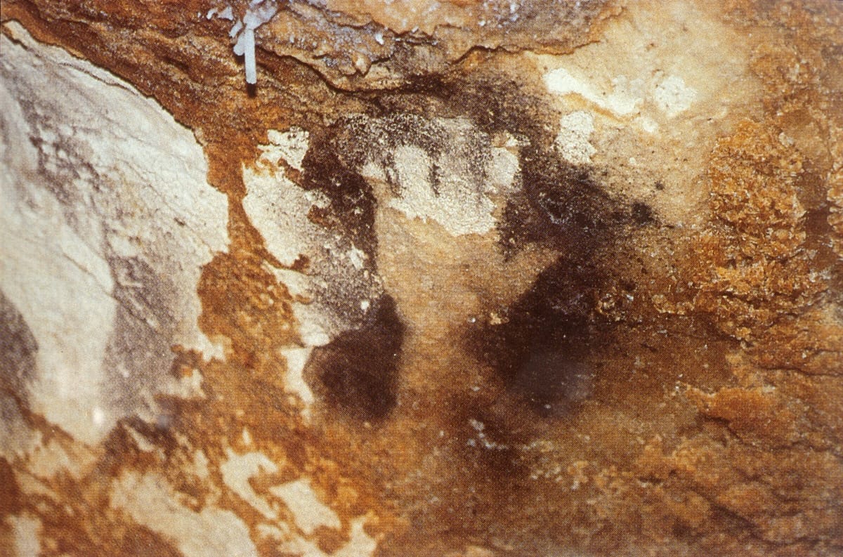 Cave Art Handprints With Missing Fingertips Point to Ritual Amputation