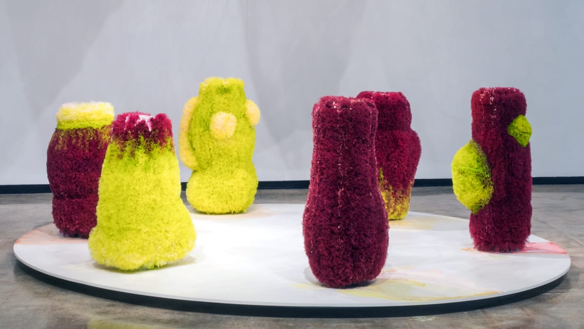 University of Florida Offers a Funded MFA in Studio Art