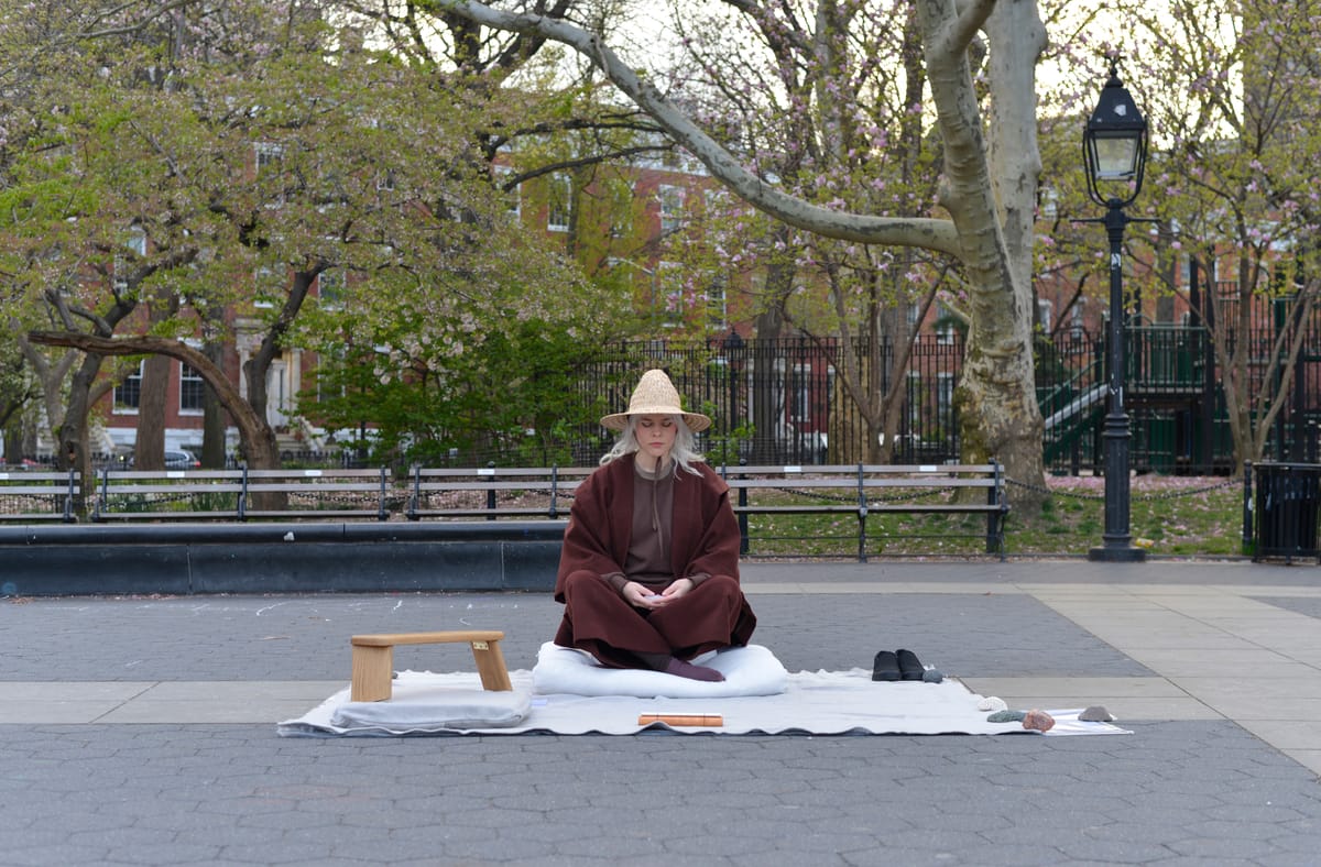A Black Bean Grows Quietly in Washington Square Park