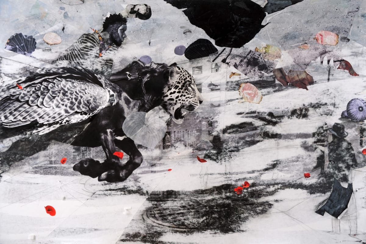 Migration Stories From World War II to Now