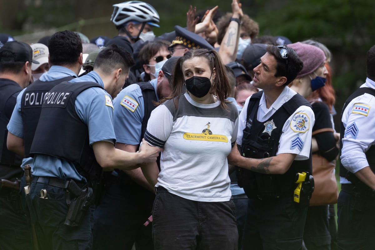 Police Arrest Dozens Protesting for Gaza at Art Institute of Chicago