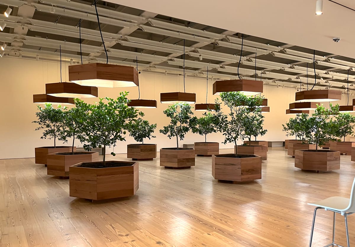 When Hope Is Not Enough for Art