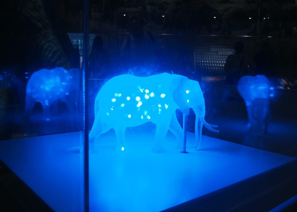 All the Ways Elephants Are Amazing