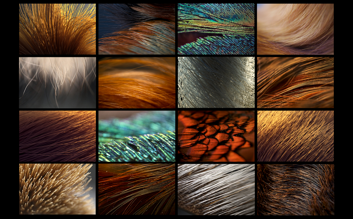 Texas A&M’s Visualization Graduate Programs Merge Art and Technology