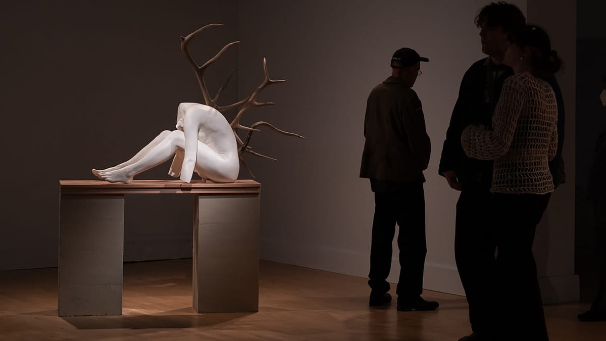 Intermedia + Digital Arts MFA at the University of Maryland, Baltimore County