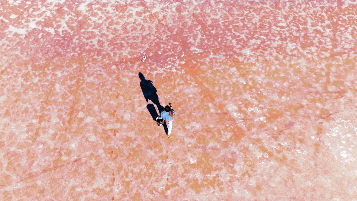 Doug Aitken’s Poetic Tableau of Southern California