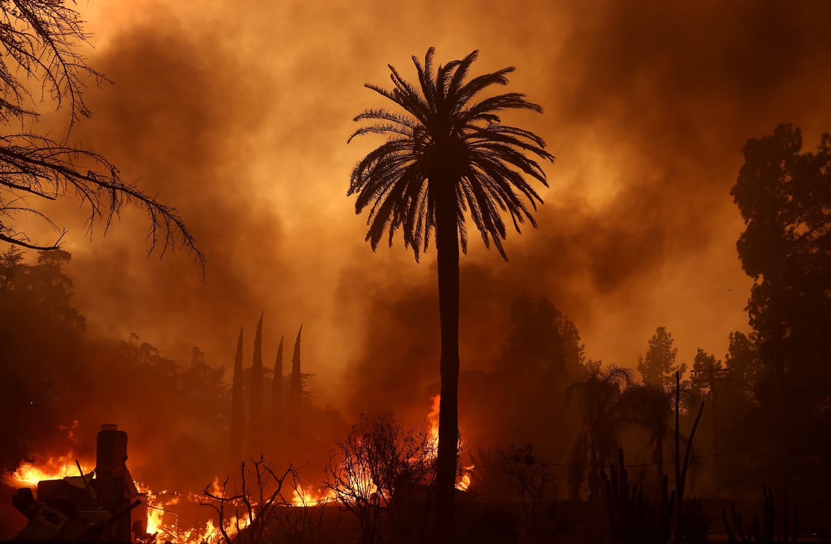 “It Looks Like a Bomb Exploded”: LA Artists Grapple With Loss as Fires Rage