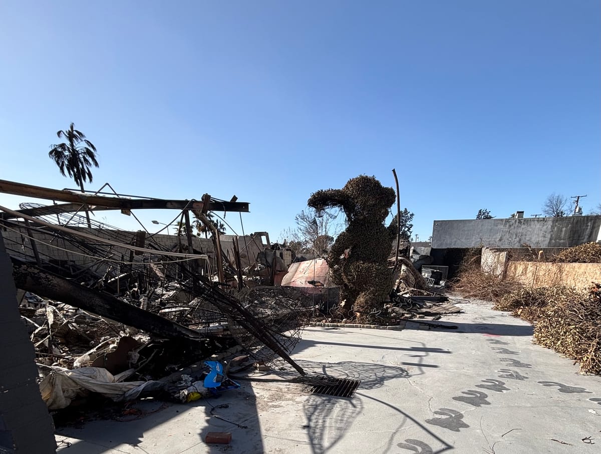 The Bunny Museum in LA Looks to Rebuild After Fires