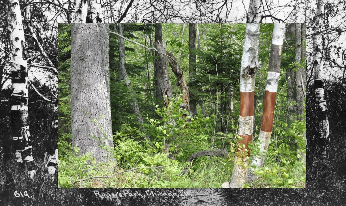 Woven Being Interweaves the Complexities of Native Art and Life