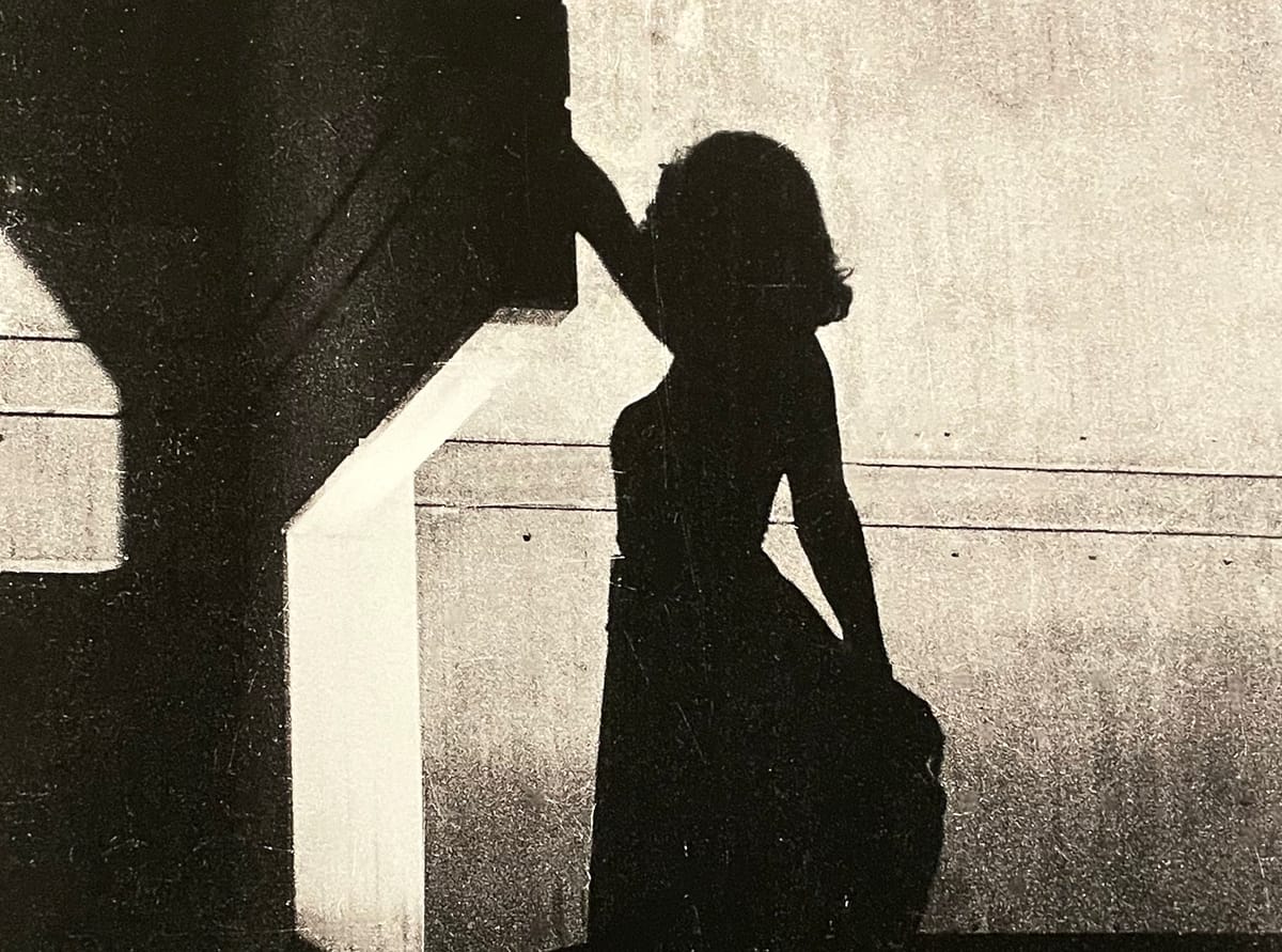 The Luminous Magnetism of the Transformistas