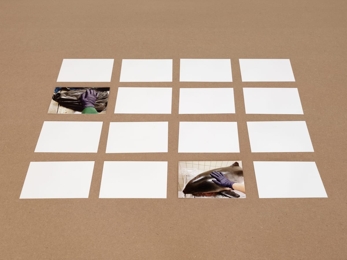 Patty Chang Looks Into the Abyss