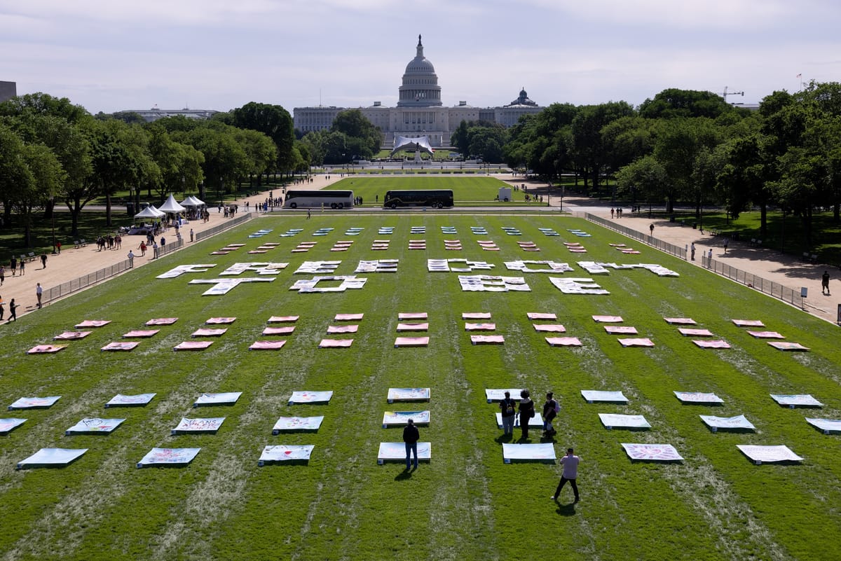Massive Artwork for Trans Visibility Unveiled on National Mall