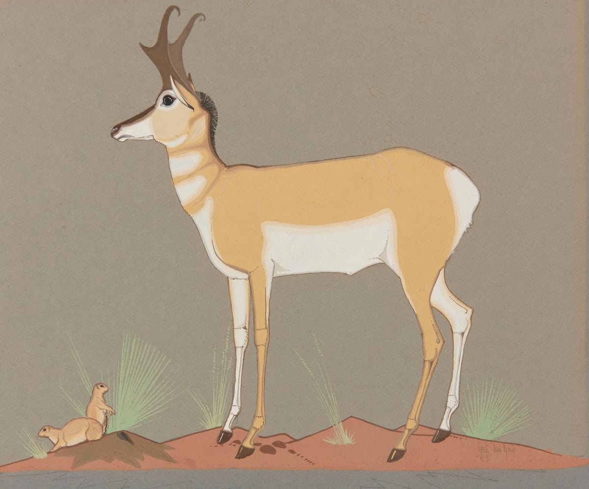 What to See in Upstate New York This May