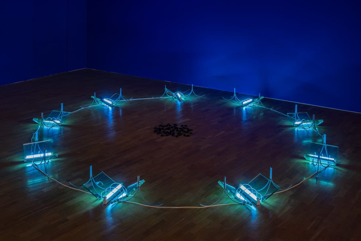 The Life-or-Death Art of Hamad Butt