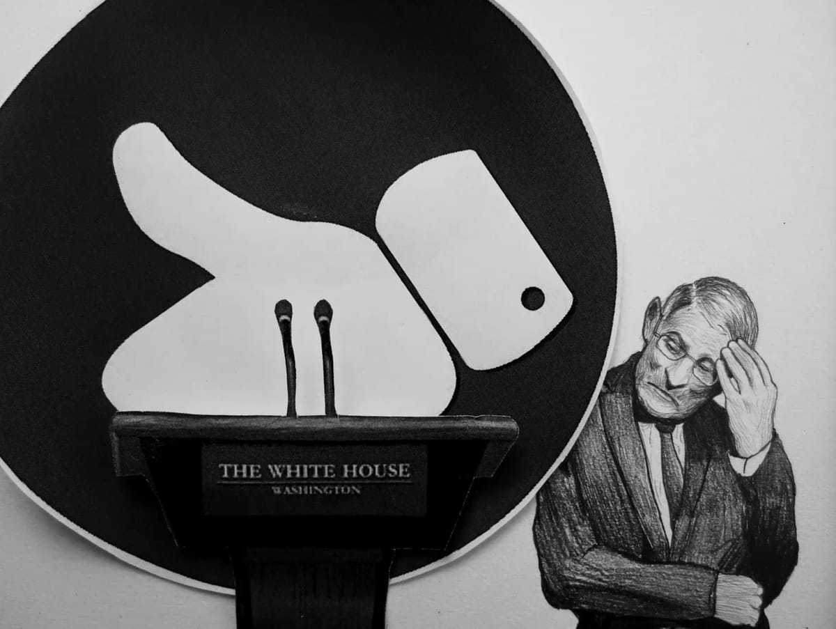 The Artist Whose Fauci Portraits Enraged the White House