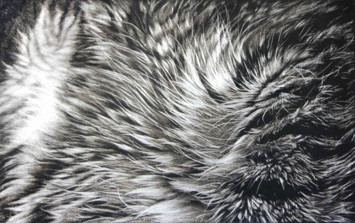 A Sprrrawling Exhibition of Cat-Themed Meowsterpieces