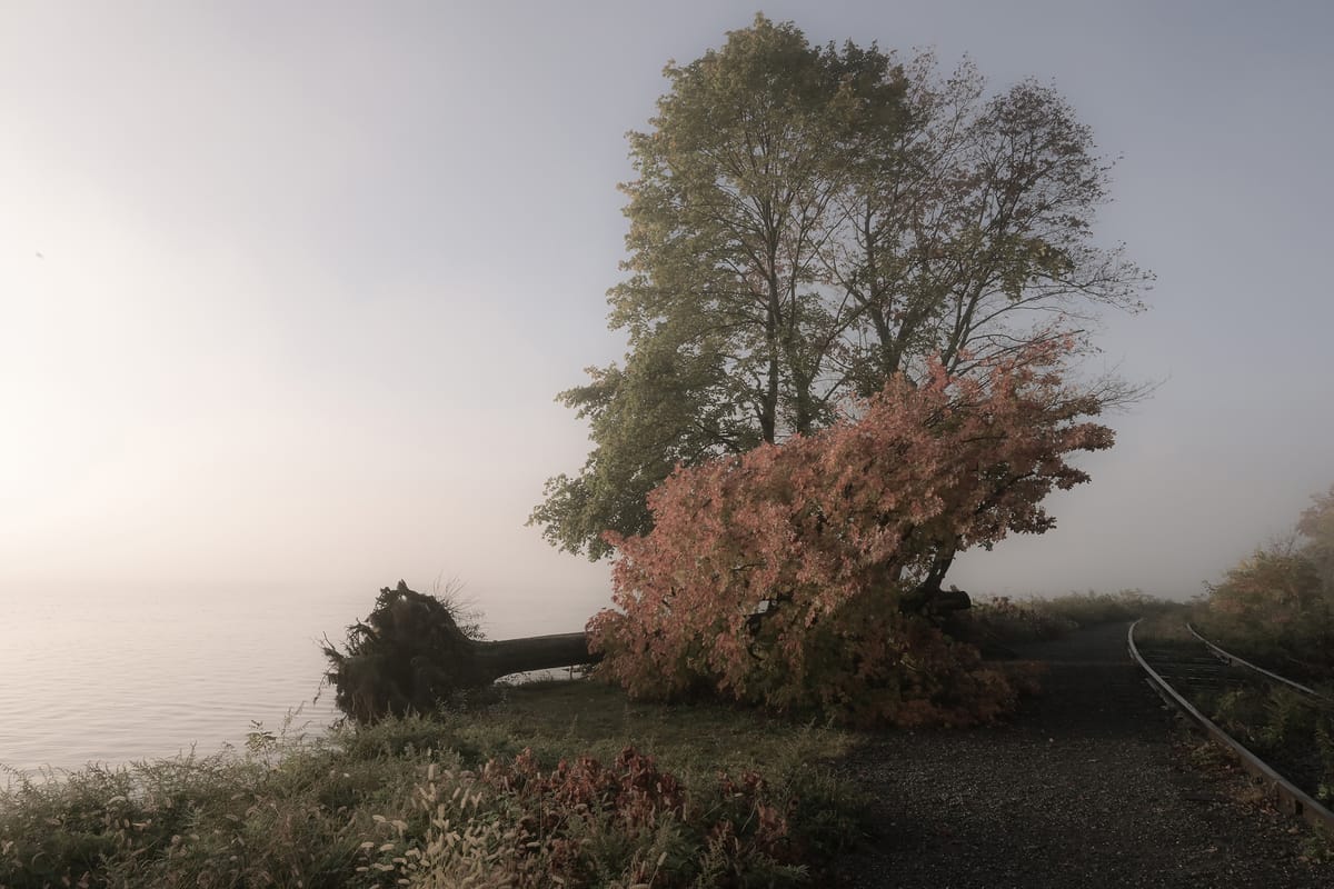 10 Exhibitions to See in Upstate New York This November